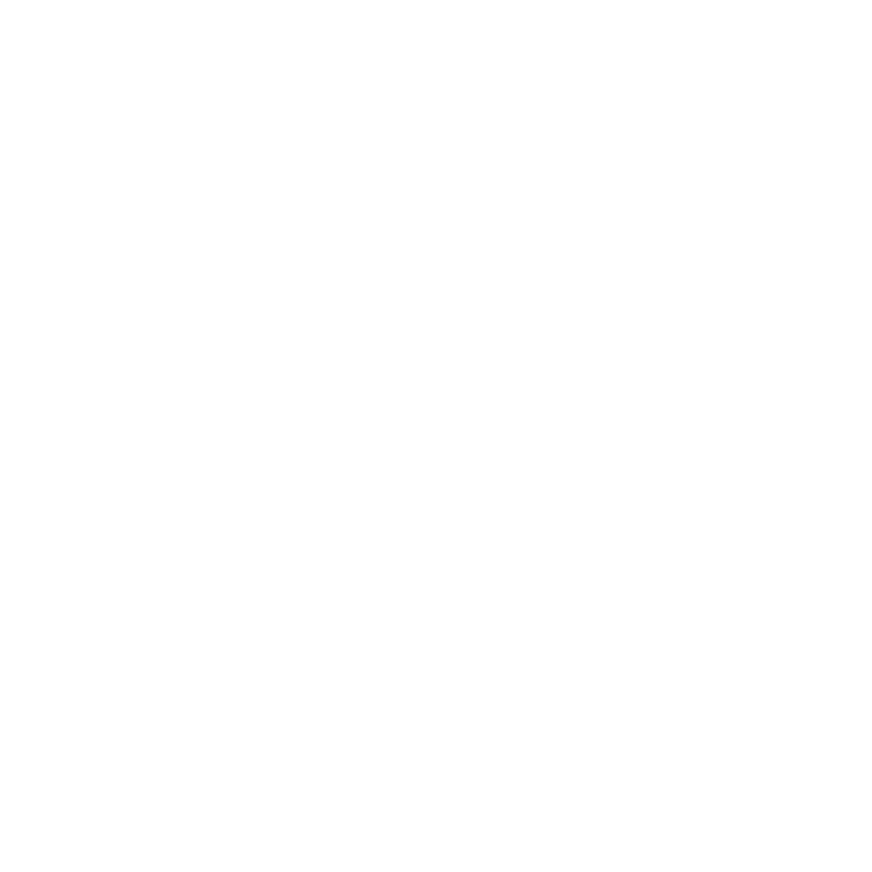 4041 RECORDS